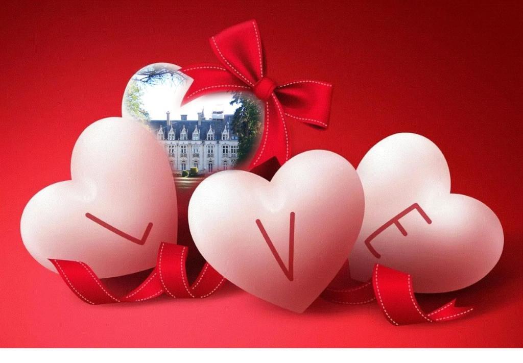 Charmant Studio Au Calme Tout Confort Dans Chateau Neo Gothique Proche Zenith Comet Orleans Parking Voiture Gratuit Wifi Haut Debit Rue Des Montees المظهر الخارجي الصورة