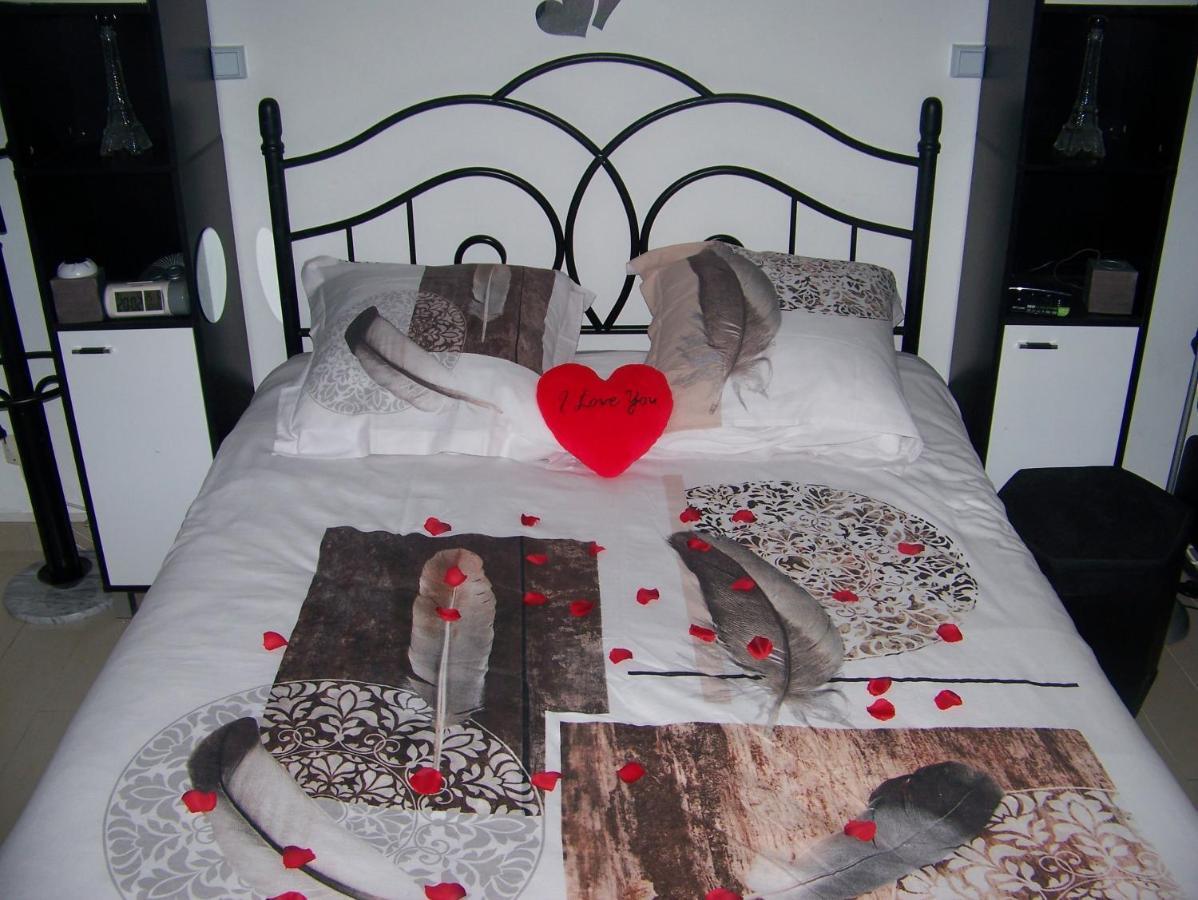 Charmant Studio Au Calme Tout Confort Dans Chateau Neo Gothique Proche Zenith Comet Orleans Parking Voiture Gratuit Wifi Haut Debit Rue Des Montees المظهر الخارجي الصورة